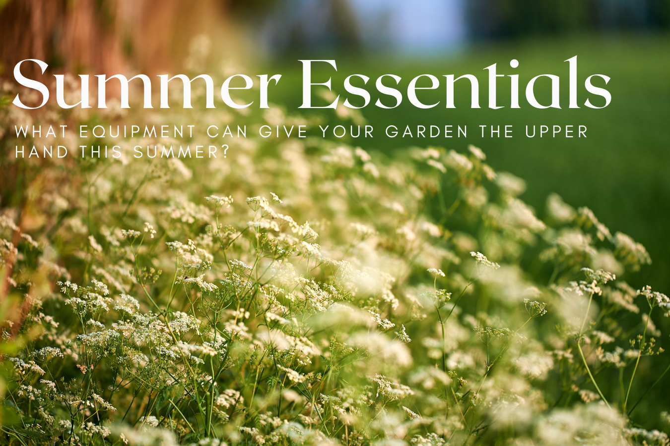 Summer Essentials: What equipment can give your garden the upper hand this summer?