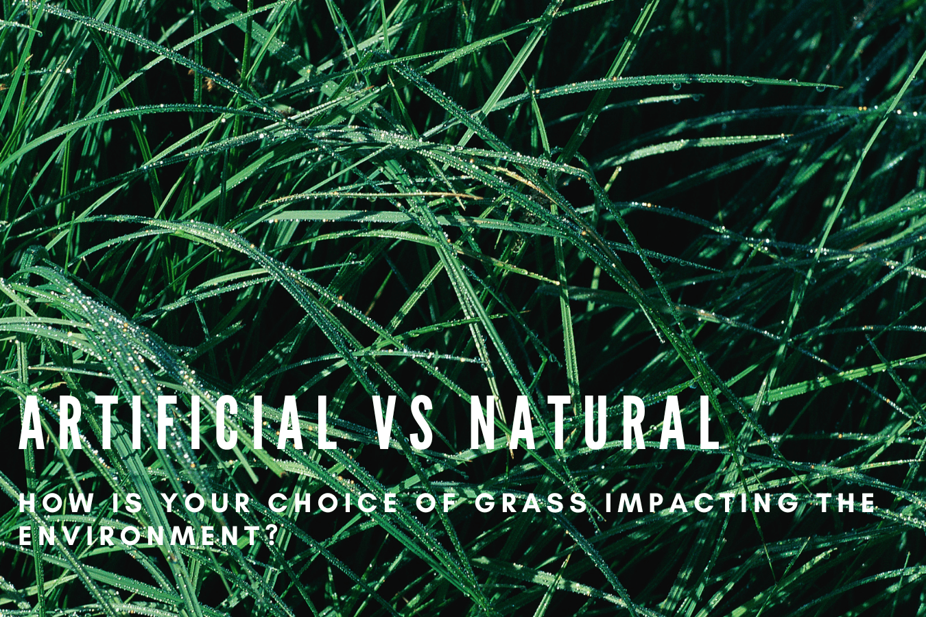 Artificial Vs Natural. How is your choice of grass impacting the environment?