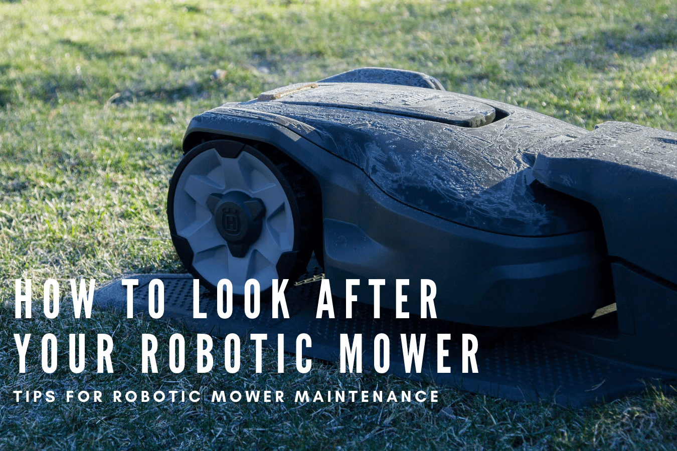 How to look after your Robotic Mower: Tips for Robotic Mower maintenance