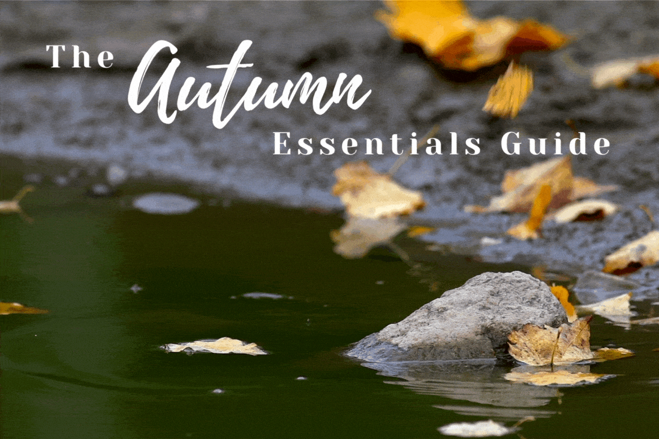 The Autumn Essentials Guide