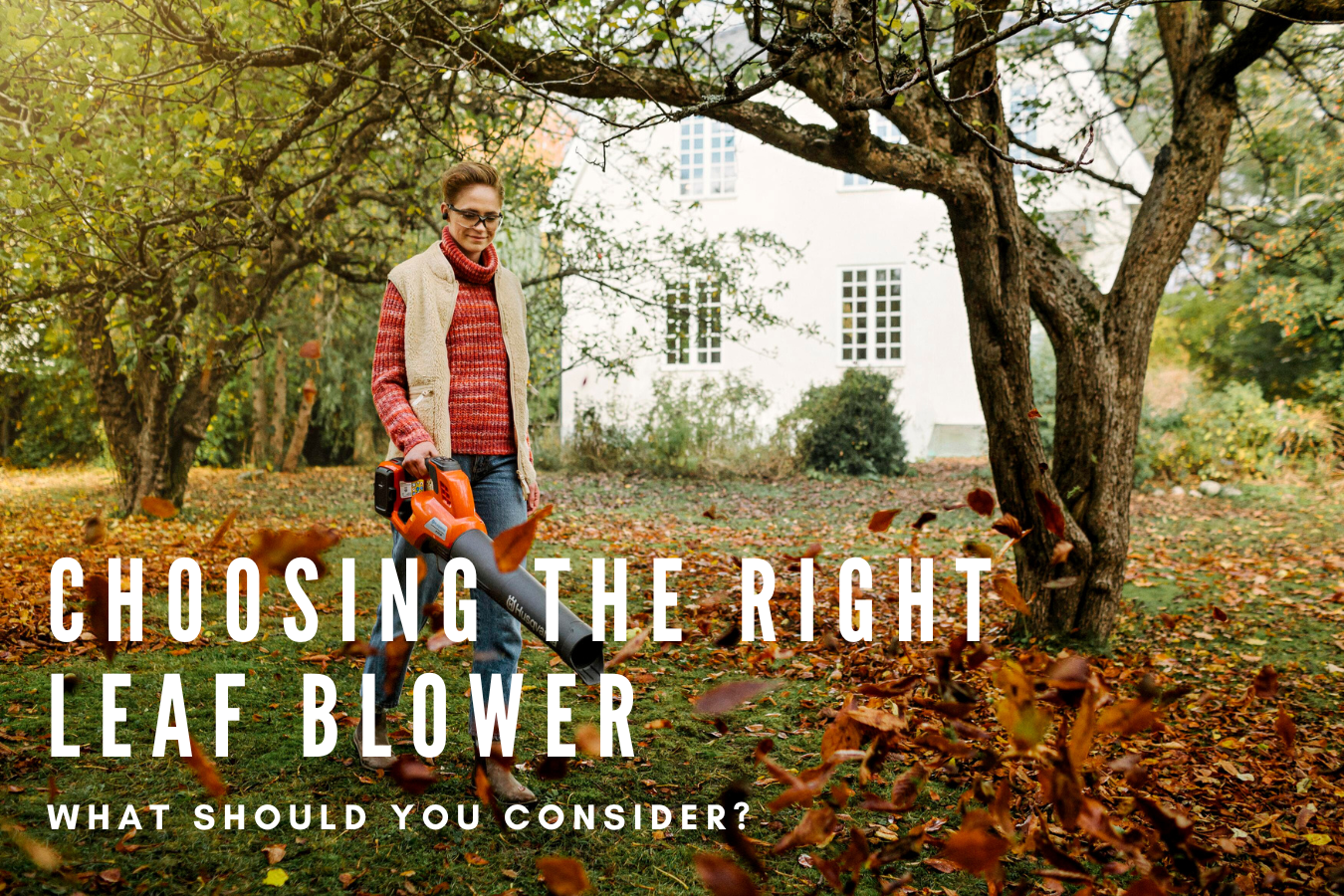 Choosing the right leaf blower. what should you consider?