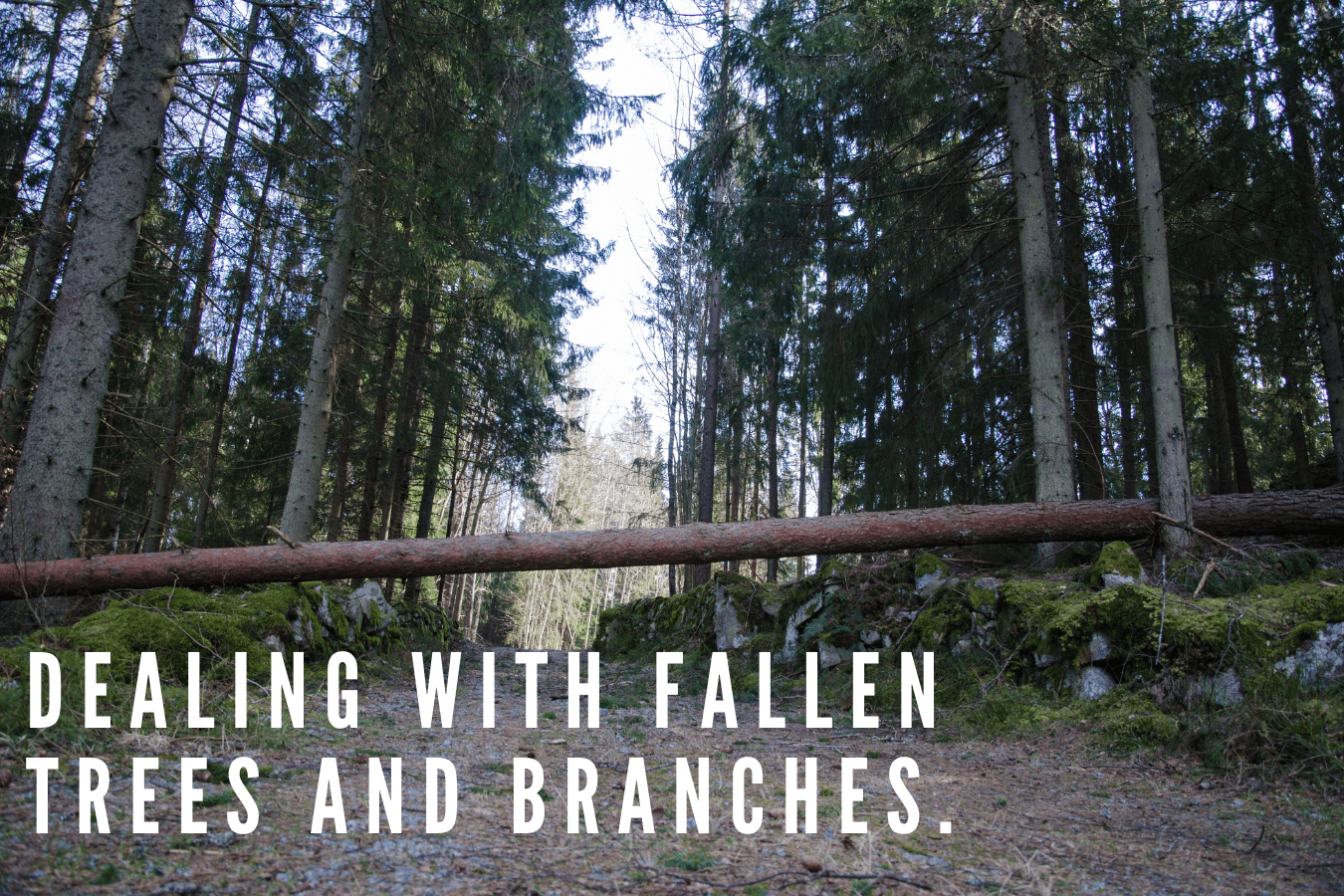 Dealing with fallen trees and branches.