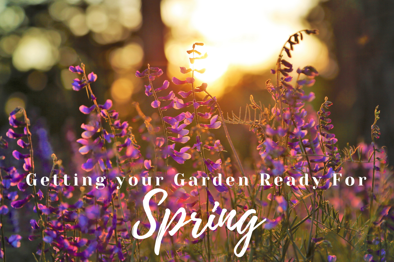 Getting Your Garden Ready For Spring