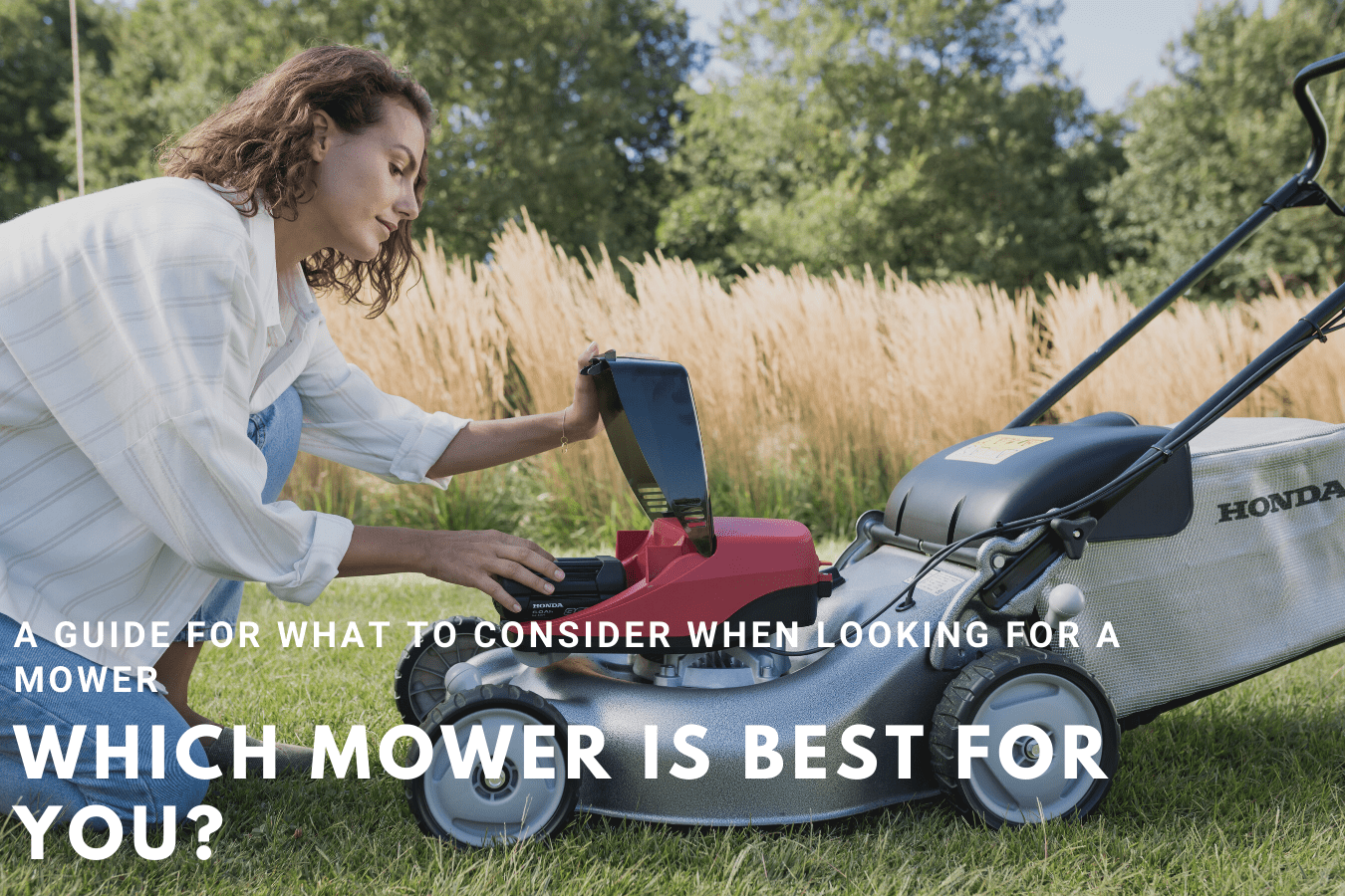 Which Mower Is Best For You?