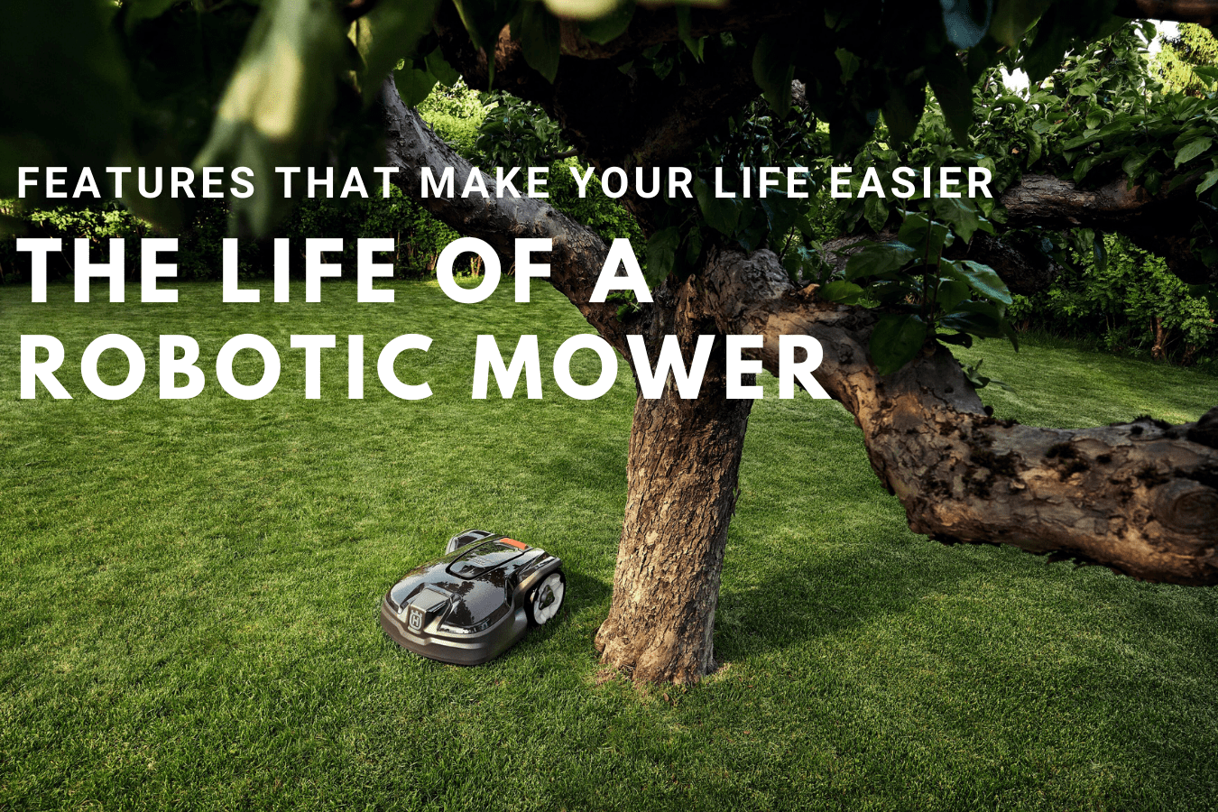 The Life of a Robotic Mower: Features that make your life easier