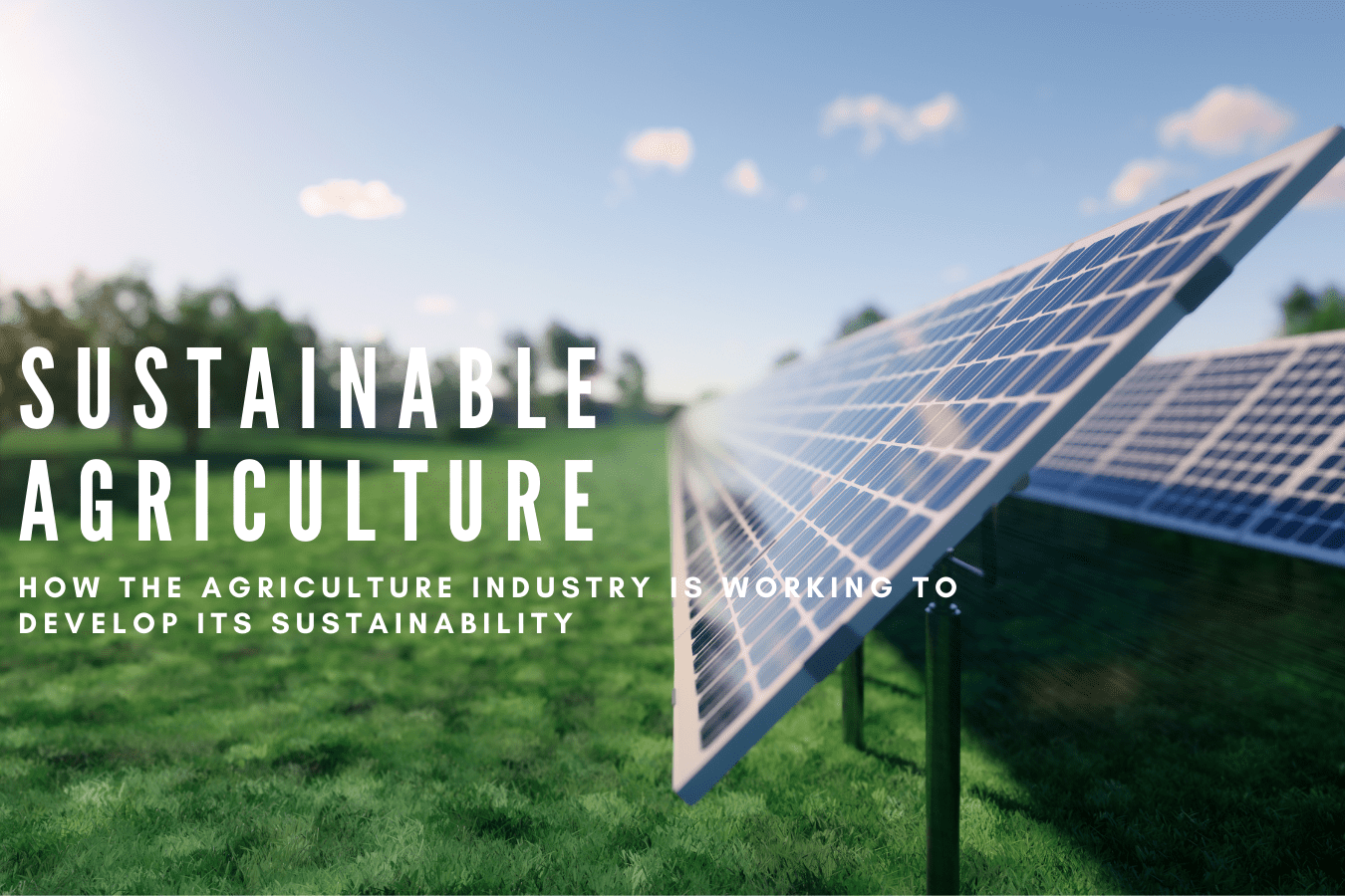 Sustainable Agriculture: How the Agriculture Industry is Working to Develop it’s Sustainability